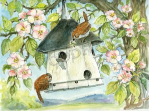 WF#13-wrens-nest