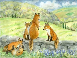 WF#19-spring-foxes60