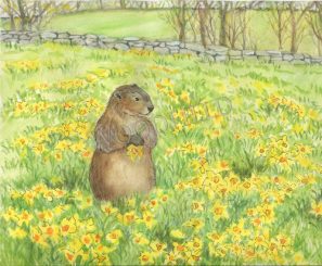 WF#23-daffodil-meadow60
