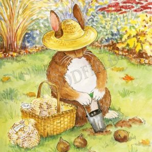 WF312-planting-bulbs