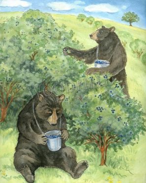 WF316-picking-berries