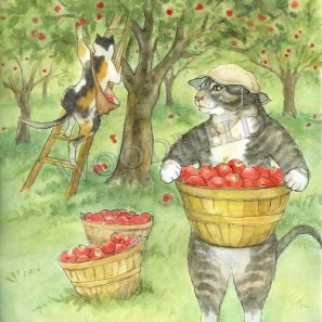 WF320-apple-picking