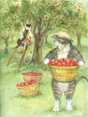 WF320-apple-picking
