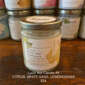 Lucin Candle 9oz / #09 - Joy