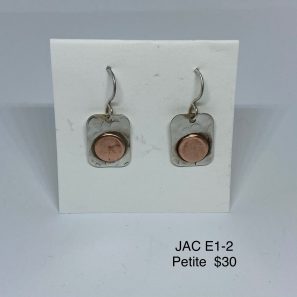 JAC E-02