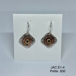 JAC E-04